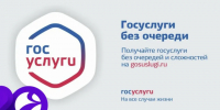 Получения услуг через Единый портал государственных услуг. - Думиничский район