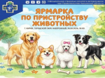 Ярмарка по пристройству животных.